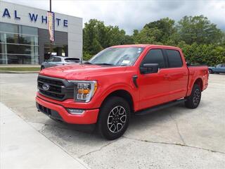 2022 Ford F-150 for sale in Manchester TN