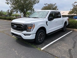 2023 Ford F-150 for sale in Louisville KY