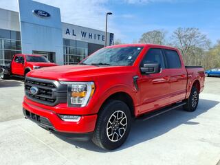 2023 Ford F-150 for sale in Manchester TN