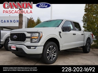 2023 Ford F-150 for sale in Orange TX