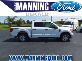 2021 Ford F-150 for sale in Des Plaines IL