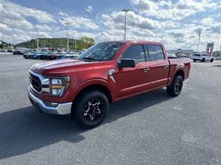 2023 Ford F-150 for sale in Johnson City TN