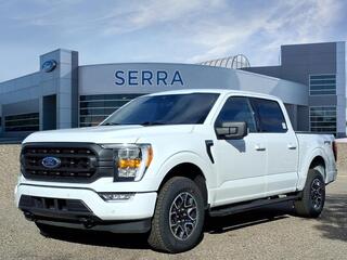 2022 Ford F-150 for sale in Farmington Hills MI