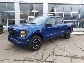 2023 Ford F-150 for sale in Fredonia NY