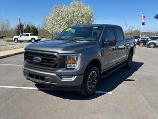 2021 Ford F-150 for sale in Fowlerville MI