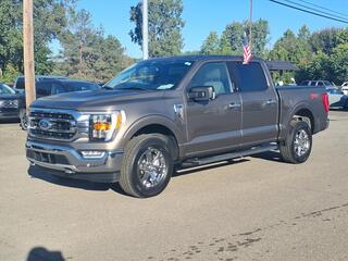 2021 Ford F-150 for sale in Belleville MI