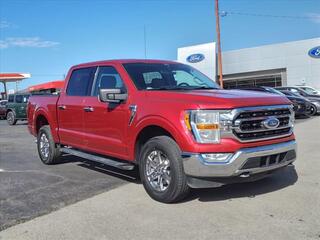 2021 Ford F-150 for sale in Bowling Green KY