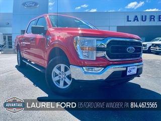 2021 Ford F-150 for sale in Windber PA