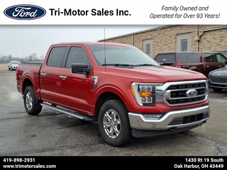 2023 Ford F-150 for sale in Oak Harbor OH