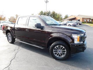 2019 Ford F-150 for sale in Clarksville TN