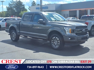 2020 Ford F-150 for sale in Flat Rock MI