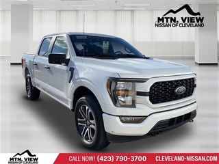 2023 Ford F-150 for sale in Mcdonald TN