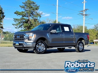 2023 Ford F-150 for sale in Alton IL