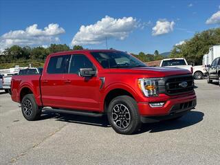 2023 Ford F-150 for sale in Waynesville NC