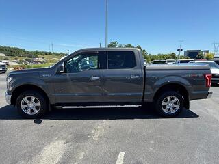 2016 Ford F-150 for sale in Dandridge TN