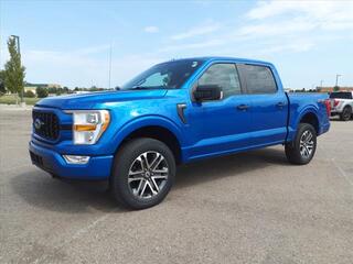 2021 Ford F-150 for sale in Dundee MI