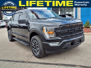 2022 Ford F-150 for sale in Fowlerville MI