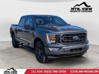 2022 Ford F-150 for sale in Mcdonald TN