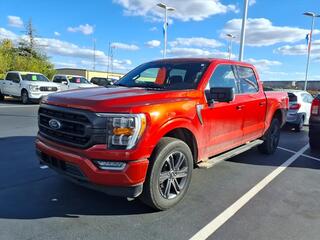 2023 Ford F-150 for sale in Delphos OH