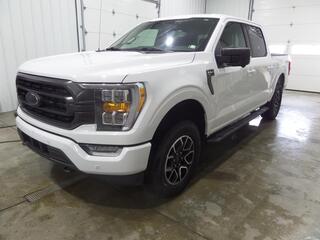 2021 Ford F-150 for sale in Somerset PA