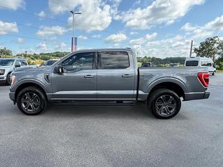 2023 Ford F-150 for sale in Dandridge TN