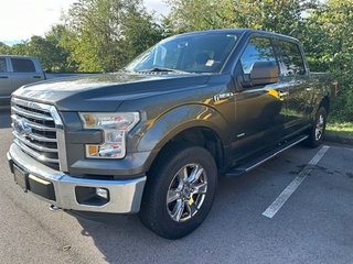 2015 Ford F-150 for sale in Greeneville TN