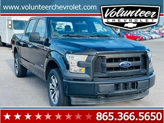 2017 Ford F-150 for sale in Sevierville TN