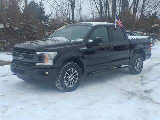2019 Ford F-150 for sale in Belleville MI