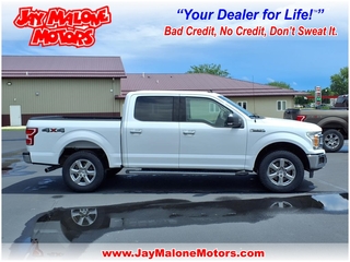 2019 Ford F-150 for sale in Hutchinson MN