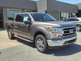 2023 Ford F-150 for sale in Bowling Green KY