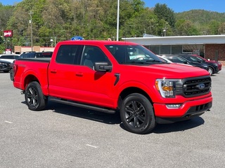 2023 Ford F-150 for sale in Waynesville NC