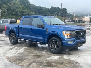 2023 Ford F-150 for sale in Waynesville NC