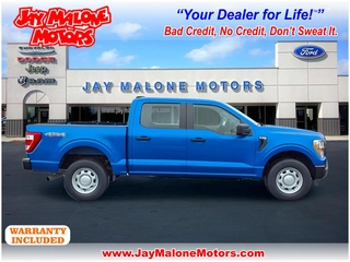 2021 Ford F-150 for sale in Hutchinson MN