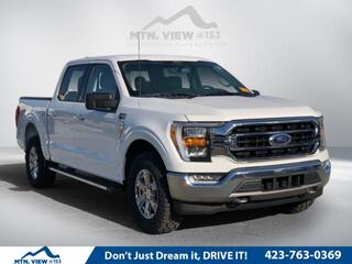 2021 Ford F-150 for sale in Chattanooga TN