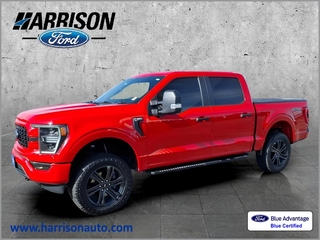 2021 Ford F-150 for sale in Mankato MN