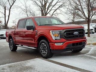 2023 Ford F-150 for sale in New Hudson MI