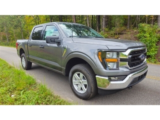 2023 Ford F-150 for sale in Cincinnati OH