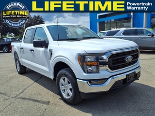 2023 Ford F-150 for sale in Fowlerville MI