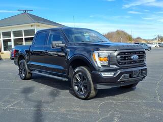 2021 Ford F-150 for sale in Danville VA