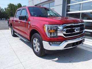 2022 Ford F-150 for sale in Amherst OH