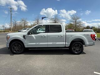 2023 Ford F-150 for sale in Dandridge TN