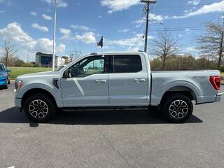2023 Ford F-150 for sale in Dandridge TN