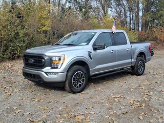 2023 Ford F-150 for sale in Belleville MI