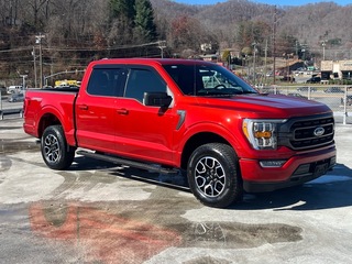 2023 Ford F-150 for sale in Waynesville NC