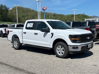 2025 Ford F-150 for sale in Canton NC