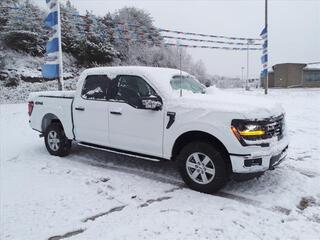 2024 Ford F-150 for sale in Ripley WV