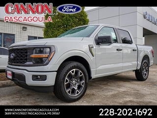 2024 Ford F-150 for sale in Orange TX