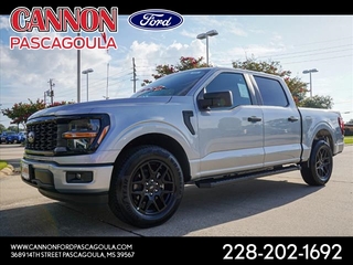 2024 Ford F-150 for sale in Orange TX