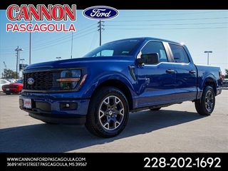 2024 Ford F-150 for sale in Orange TX