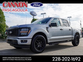 2024 Ford F-150 for sale in Orange TX